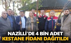 Nazilli'de kestane fidanı dağıtımı