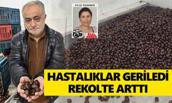 Nazilli'de kestaneciler mutlu