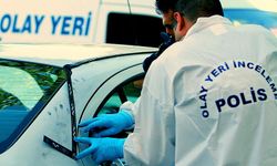 Park halindeki otomobilde şüpheli ölüm