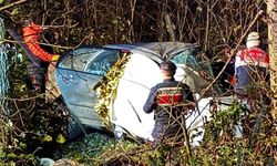 Otomobil kontrolden çıkarak dere yatağına devrildi: 1 ölü