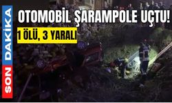 Otomobil şarampole uçtu! 1 ölü, 3 yaralı