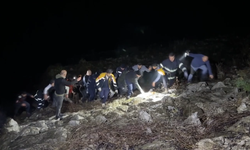 Otomobil uçurumdan denize düştü: 1 yaralı