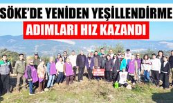 Söke’de yeniden yeşillendirme adımları hız kazandı
