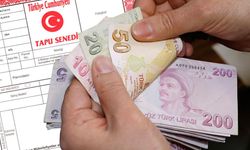 Tapusu olanlar hemen kontrol etsin! Bu renk varsa dikkat