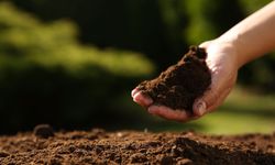 TEMA Vakfı: Sağlıklı kentler için sağlıklı topraklara ihtiyacımız var