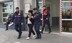 Nazilli'de kaçak operasyonu: Damadının kilerinde yakalandı