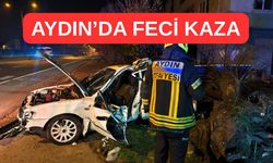 Aydın'da feci kaza: Otomobil Ağaca Çarptı