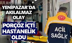 Yenipazar'da akılalmaz olay