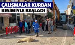 Yenipazar’da ilk kepçe vuruldu