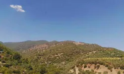 Aydın için uzman isimden flaş öneri: 'Belediyelerin bunu yapması gerek'