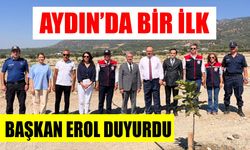 Aydın'da ilk olan üretim Buharkent'te gerçekleşiyor