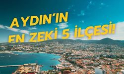 Aydın'ın en zeki 5 ilçesi açıklandı!