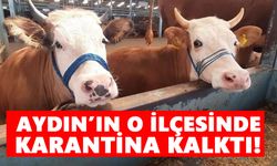 Aydınlı üreticileri sevindirecek haber! O ilçedeki karantina kalktı!