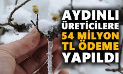 Aydınlı üreticilere 54 milyon TL ödeme yapıldı