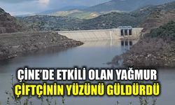 Çine’de etkili olan yağmur çiftçinin yüzünü güldürdü