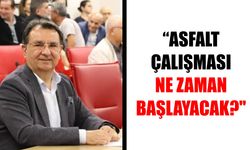 CHP’li Çırpanlı Büyükşehir'e Ordu Caddesi'ni sordu