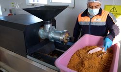 Didim’de sokak hayvanları için anlamlı proje