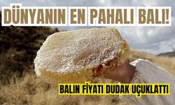 Dünyanın en pahalı balı! Balın fiyatı dudak uçuklattı