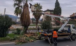 Efeler Belediyesi sahada: Umurlu Karayolu’nda dikkat çeken çevre düzenlemesi