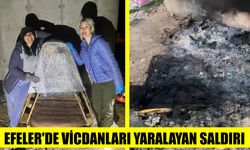 Efeler’de vicdanları yaralayan saldırı