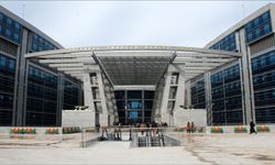 Fenomen ünlülere gözaltı