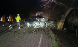 Otomobil ağaca çarptı: 2 ölü, 2 yaralı