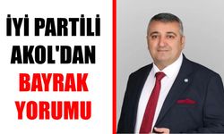 İYİ Partili Akol'dan bayrak yorumu
