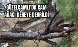 Kuşadası Belediye ekipleri riskli noktalarda teyakkuzda