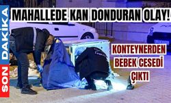 Mahallede kan donduran olay! Konteynerden bebek cesedi çıktı