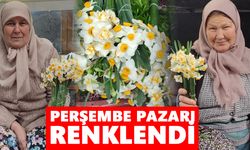 Nazilli'de nergis mevsimi