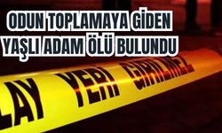 Odun toplamaya giden yaşlı adam ölü bulundu