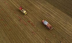 Körfez'de tırmanan kriz gıda fiyatlarını vuracak