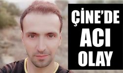 Çine'de acı olay: Zeytin silkerken kalp krizi geçirdi, hayatını kaybetti