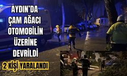 Aydın’da çam ağacı otomobilin üzerine devrildi: 2 yaralı