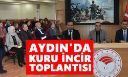 Aydın'da kuru incir toplantısı