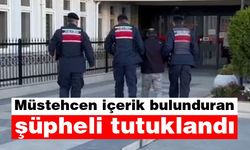 Aydın'da müstehcen içerik bulunduran şüpheli tutuklandı