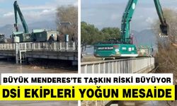 Aydın'da tarlalar göle döndü