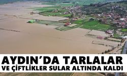 Aydın’da tarlalar ve çiftlikler sular altında kaldı