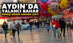 Aydın’da yalancı bahar: Güneşi gören sokağa çıktı
