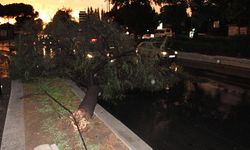 Aydın'da yaşayanlar dikkat