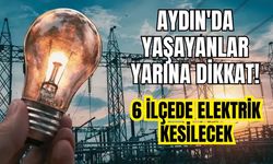 Aydın'da yaşayanlar yarına dikkat! 6 ilçede elektrik kesilecek