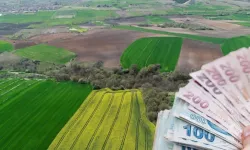 Aydın'daki dev tarım arazisi icraya düştüğü için bu fiyattan satılacak!