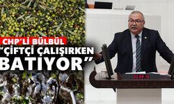 Aydınlı üreticiler zeytin ve pamuktan uzaklaştı