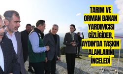 Bakan Yardımcısı Gizligider, Aydın’da