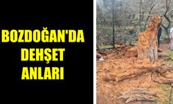 Bozdoğan'da dehşet anları