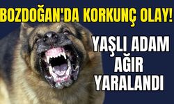 Bozdoğan'da korkunç olay: Yaşlı adam ağır yaralandı