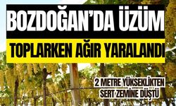 Bozdoğan’da üzüm toplarken ağır yaralandı