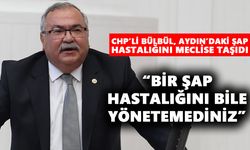 CHP’li Bülbül, Aydın’daki şap hastalığını meclise taşıdı