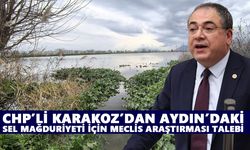 CHP’li Karakoz’dan Aydın’daki sel mağduriyeti için Meclis araştırması talebi