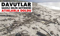 Davutlar sahili selin getirdiği atıklarla doldu
